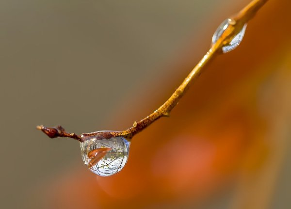 Весна капель