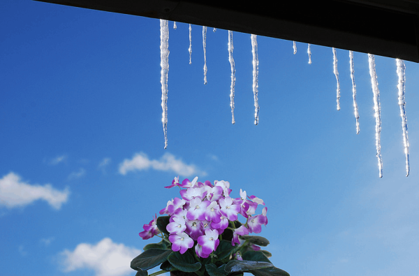 Капель весной