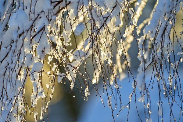 Ранняя Весна