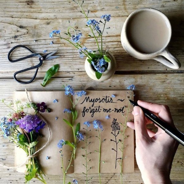 Кофе цветы утро стильные