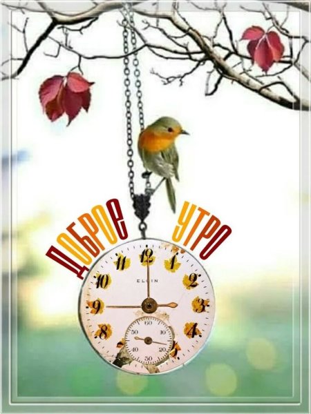 Весеннее утро