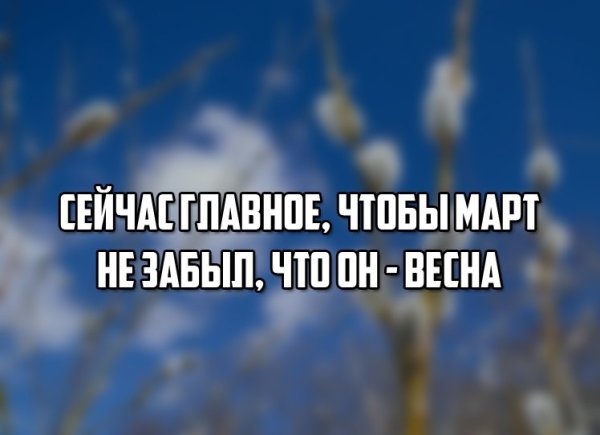 Приколы про весну
