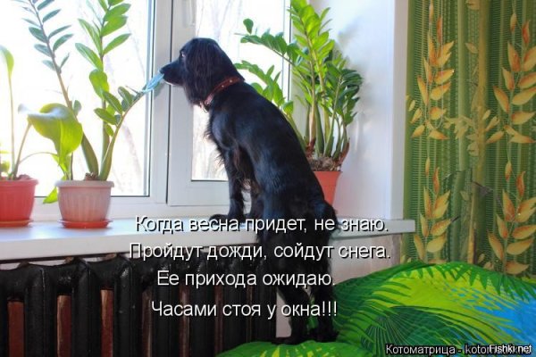 Когда придет Весна