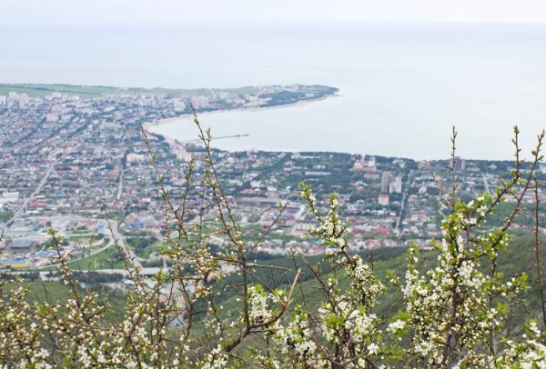 Весна в Геленджике