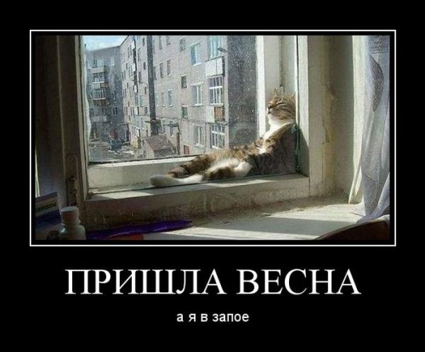 Весна уже пришла