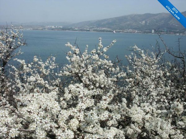 Геленджик море набережная