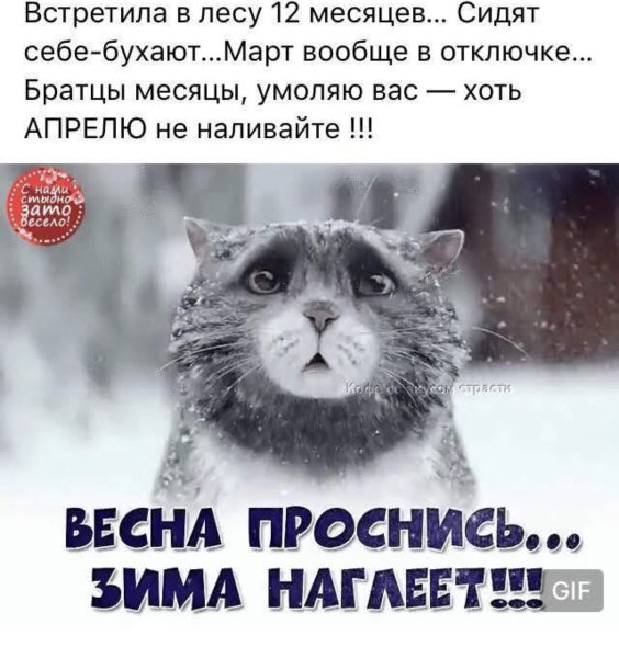 Шутки про снег весной