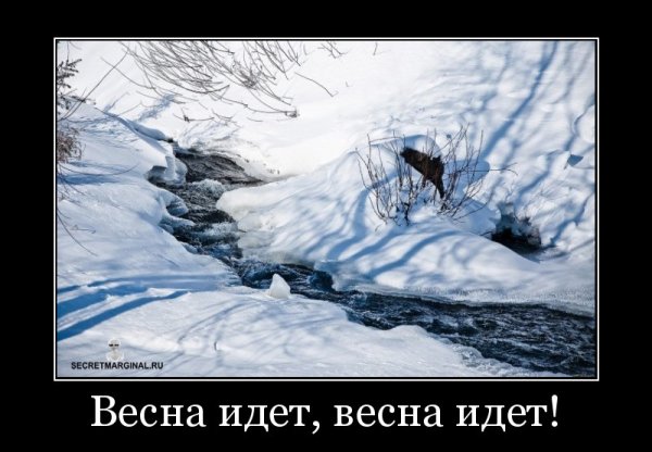Приколы про зиму и весну
