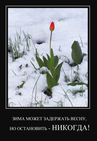 Мемы про весну
