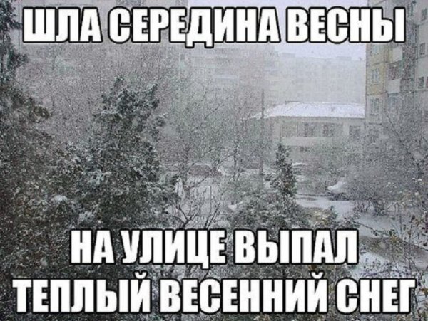Подснежники прикол