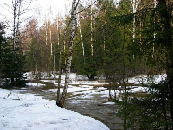 Эдвард Григ Ручеек