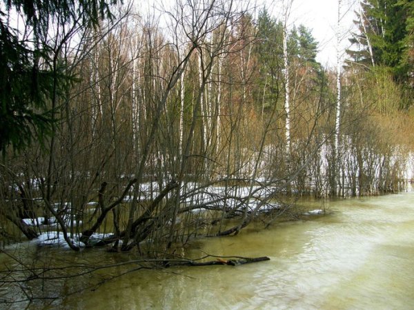 Э Григ весной