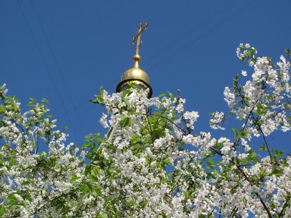 Храм весной