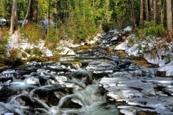 Утро Эдварда Грига