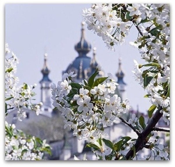 Храм весной