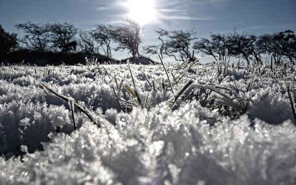 Весенний снегопад