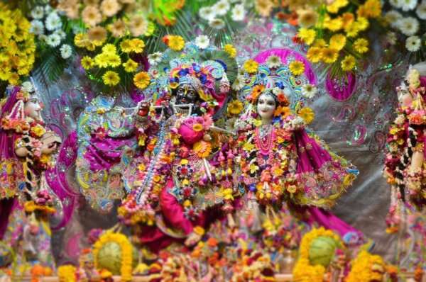 Холи в Индии