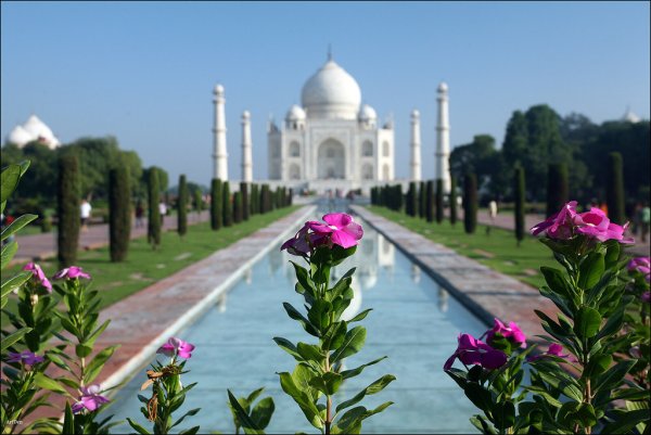 Фестиваль красок Холи в Индии