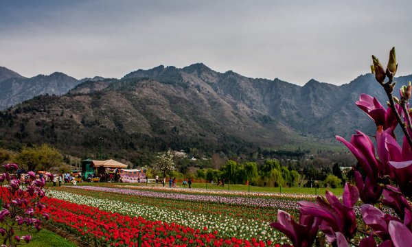 Индия Гоа Тадж Махал