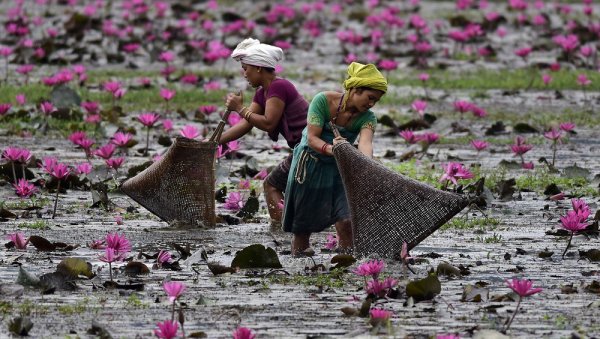 Индия пейзажи