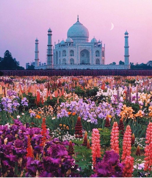 Национальный парк Долина цветов (Уттаракханд, Индия)