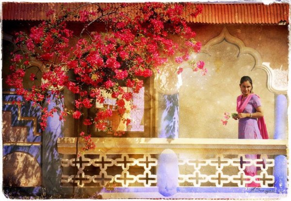 Красивое утро в Индии