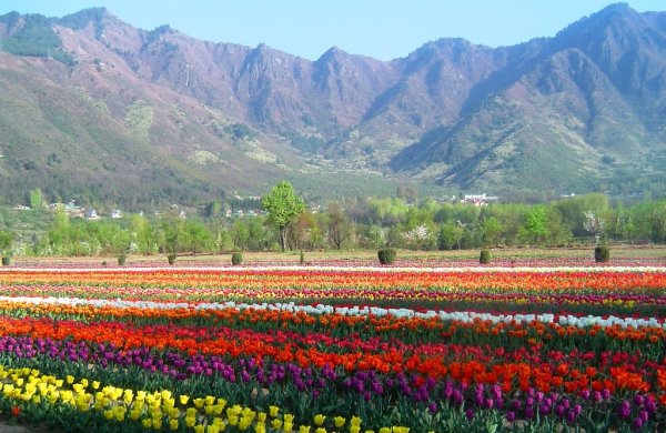 Агра лес Индия достопримечательности