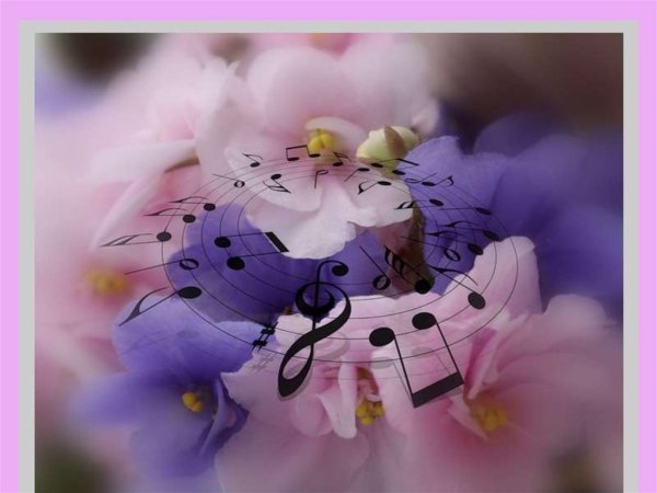 Ноты и цветы