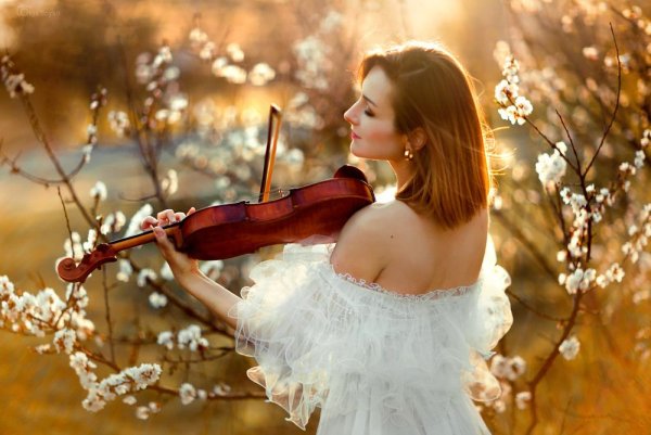 Музыкальная природа