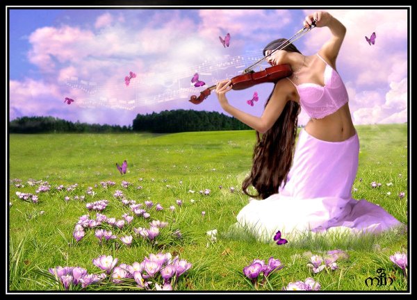 Футаж с весенними цветами