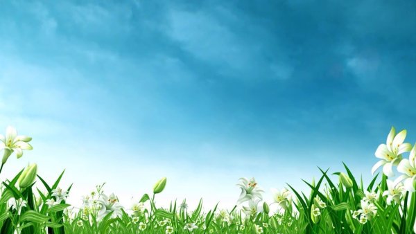 Казахстан рисунок