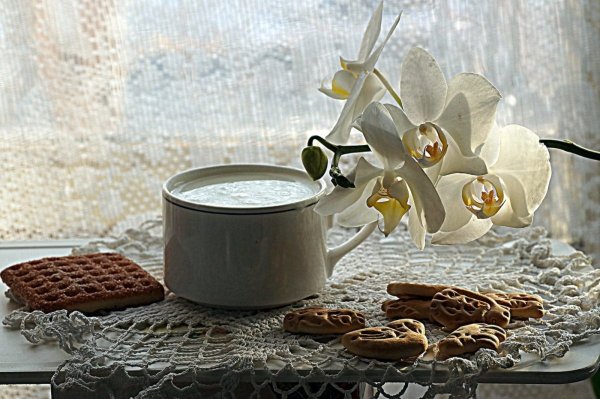 Тюльпаны и кофе