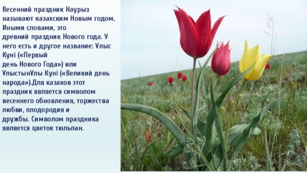 Наурыз мейрамы в Казахстане