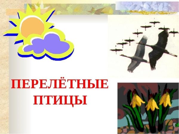 Тема перелетные птицы