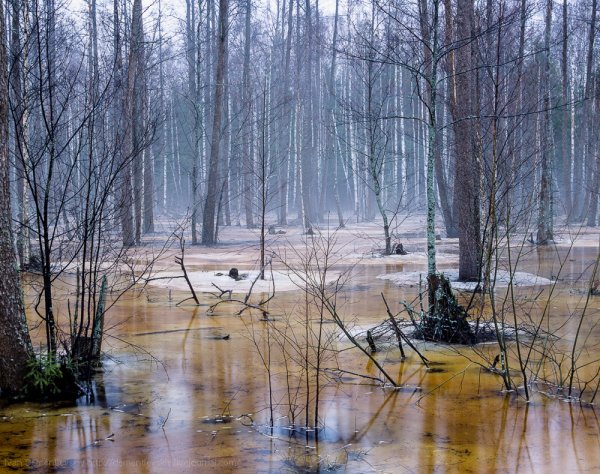Весна в Подмосковье