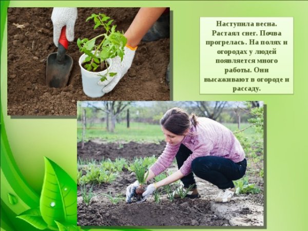 Труд людей весной в огороде