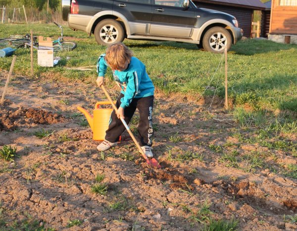 Весенние работы