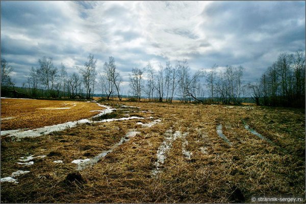 Летняя природа для детей