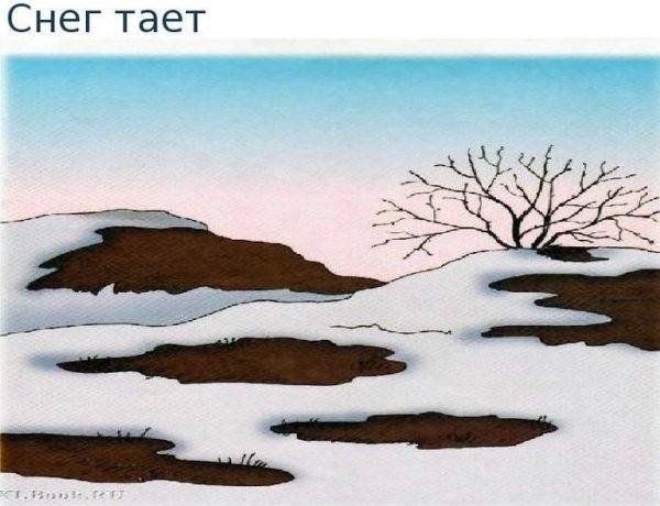 Клипарт лес на прозрачном фоне