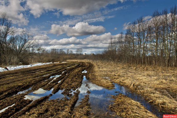 Весеннее солнышко