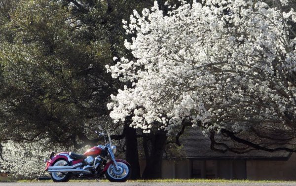 Мотоцикл весной