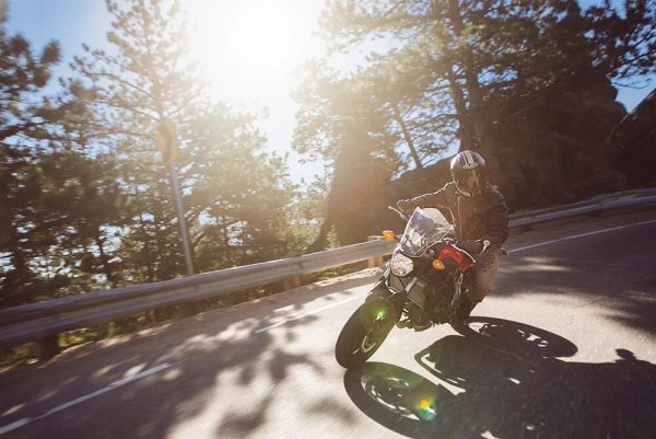 Мотик и Весна