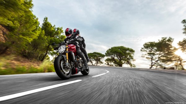 Мотик и Весна