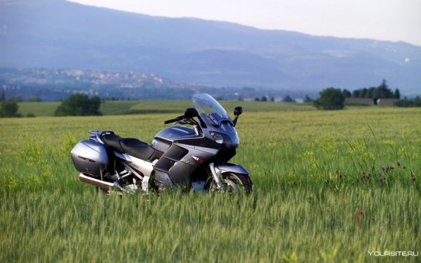 Мотоцикл на дыбах