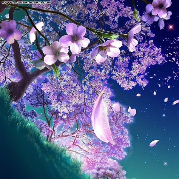 Цветы яркие нежные красивые