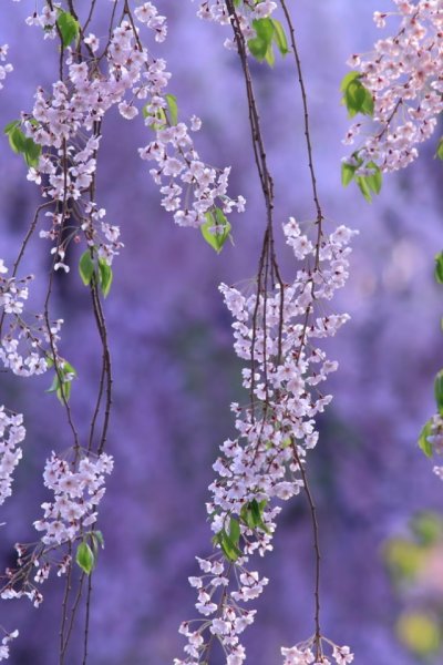 Красивый летний фон