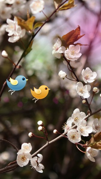 Весна красна