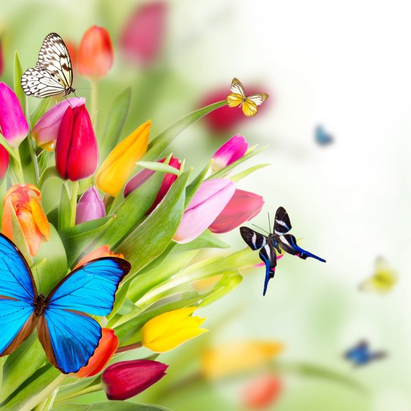 Висячие розовые цветы