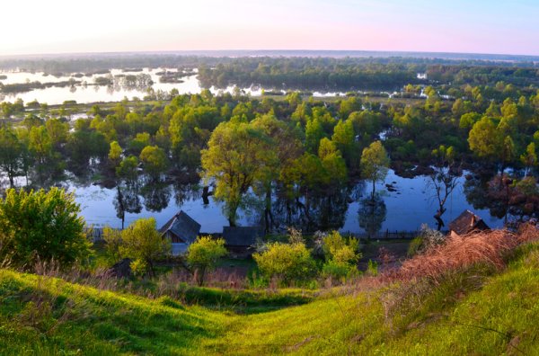 Пейзажи Брянска
