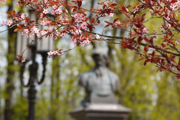 Весенний Брянск фото